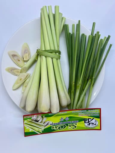 Sả